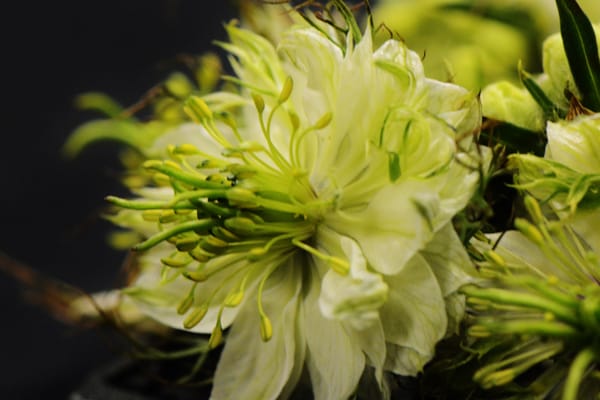 Done To Your Taste Catering & Events by null