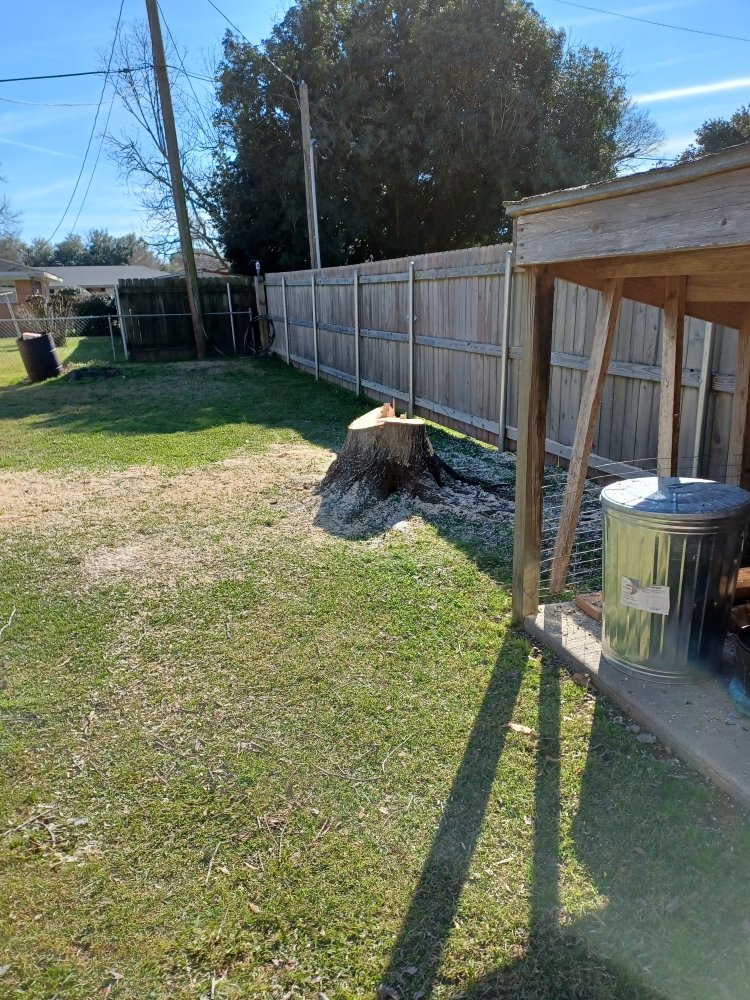 Slide of Hazelton's Clearing Service