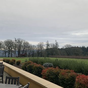 Domaine Serene - Patio view - Wineries Near Me - Dayton, Oregon Domaine Serene - Patio view - Wineries Near Me - Dayton, Oregon