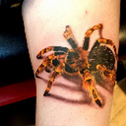 Smart Art Tattoo & Piercing