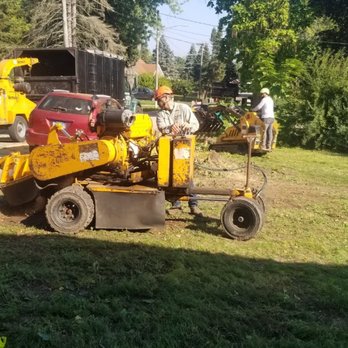 Mountain Tree Service - Tree Services Near Me - West Dundee, Illinois Mountain Tree Service - Tree Services Near Me - West Dundee, Illinois