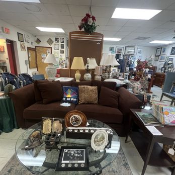 Molly Mutt IV Thrift Shop - Thrift Stores Near Me - Palm Bay, Florida Molly Mutt IV Thrift Shop - Thrift Stores Near Me - Palm Bay, Florida