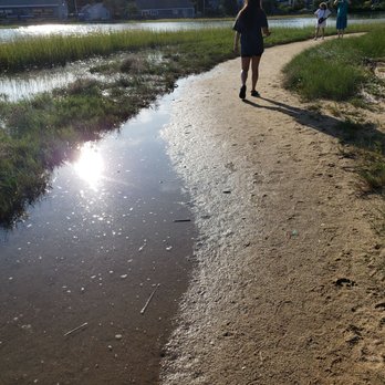 Uncle Tim's Island - The tide is high. - Parks Near Me - Wellfleet, Massachusetts