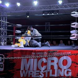 Micro Wrestling Federation at the Microtorium