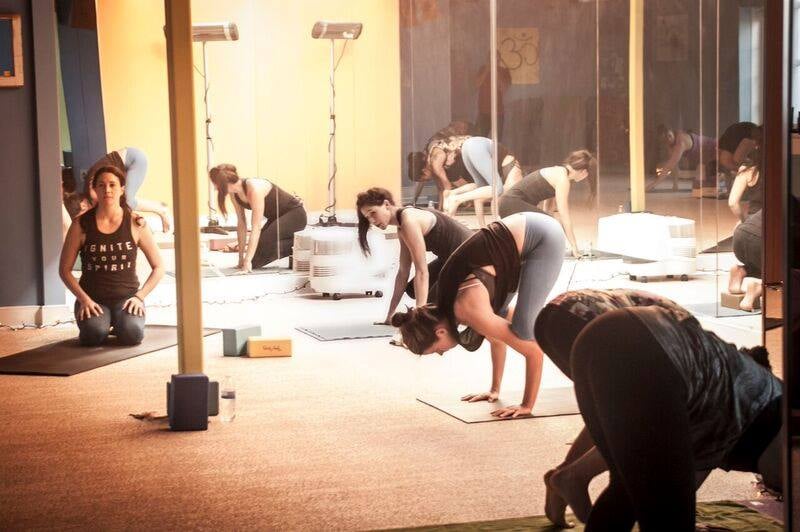 Social spots from Yoga Dogz