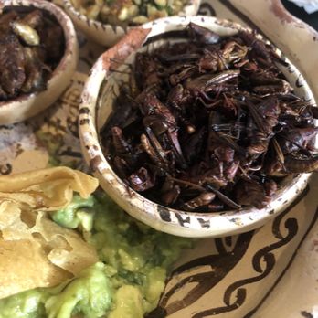 La Casa de los Tacos - Chapulines. - Tacos Near Me - México, D.F., DIF La Casa de los Tacos - Chapulines. - Tacos Near Me - México, D.F., DIF