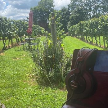 Pearmund Cellars - Wineries Near Me - Broad Run, Virginia