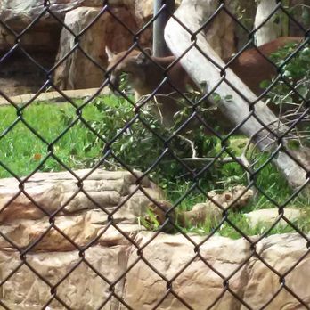 Orange County Zoo - Zoos Near Me - Orange, California