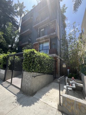 Treehouse Hollywood by null