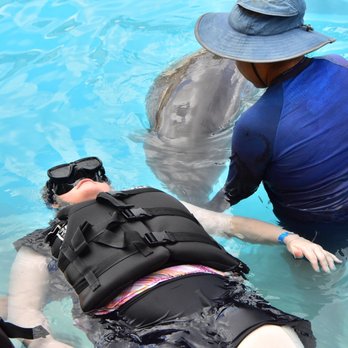Dolphinaris - Echolocation - Arts & Entertainment Near Me - San Miguel de Cozumel, ROO