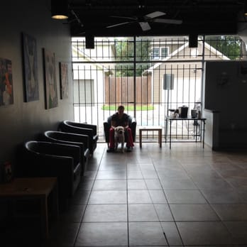 Heights Hospital for Animals - Natural light lobby. That is a tech sitting with my dogs waiting patiently for me to pay before she helped walk me to my car - Veterinarians Near Me - Houston, Texas