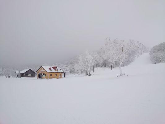 Zao Onsen Ski Resort by null