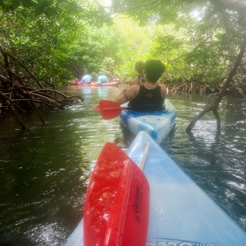 Danger Charters - Kayaking through the mangroves! - Rafting/Kayaking Near Me - Key West, Florida
