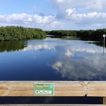 Upper Tampa Bay Conservation Park - Hiking Spree scenic shot - Rafting/Kayaking Near Me - Tampa, Florida Upper Tampa Bay Conservation Park - Hiking Spree scenic shot - Rafting/Kayaking Near Me - Tampa, Florida