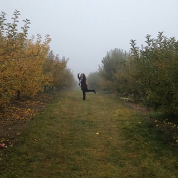 Walter's Fruit Ranch - Loving the fall in search of cider and pumpkins - Fruits & Veggies Near Me - Mead, Washington