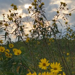 Casper Bluff Land & Water Reserve