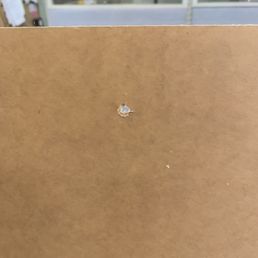 He even drilled holes for hanging.