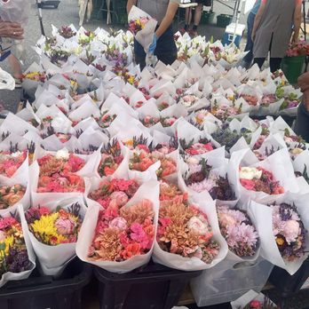 Proctor Farmers' Market - Flowers the best and freshest (lasts 2 weeks in my home) - Farmers Market Near Me - Tacoma, Washington Proctor Farmers' Market - Flowers the best and freshest (lasts 2 weeks in my home) - Farmers Market Near Me - Tacoma, Washington
