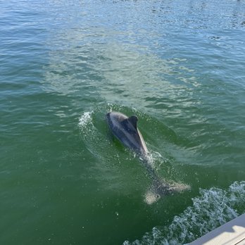 Totally Tiki Tours - Boat Tours Near Me - Tampa, Florida Totally Tiki Tours - Boat Tours Near Me - Tampa, Florida