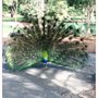 Photo of Auburn Botanic Gardens