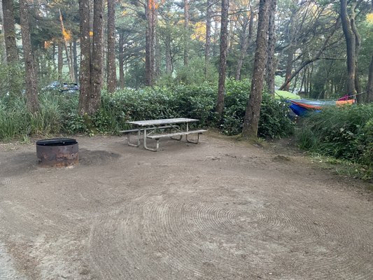 Beachside State Park by null