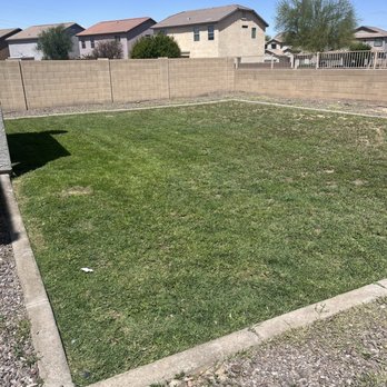 Rock Solid Landscaping And Pool - Landscaping Near Me Rock Solid Landscaping And Pool - Landscaping Near Me