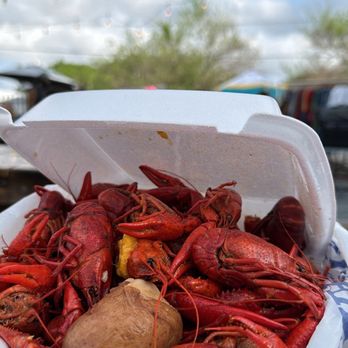 Bayou Beer Garden - Andys crawfish - Beer Gardens Near Me - New Orleans, Louisiana