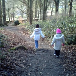 Killynether Forest Park