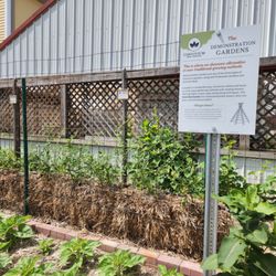 Convivium Urban Farmstead