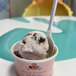a cup of ice cream a cup of ice cream
