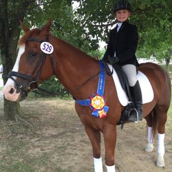 Rebecca Cowden Dressage - Fun in the sun!