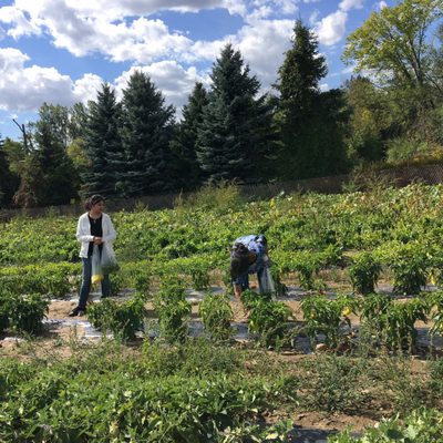 JUDY’S TROPICAL GARDEN - Updated August 2024 - 22 Photos - 7297 Reesor ...