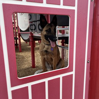Hope Dog Training - Pet Training Near Me - Norco, California