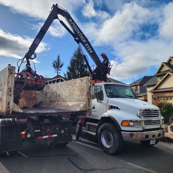 Mr. Tree - Tree Services Near Me - Portland, Oregon Mr. Tree - Tree Services Near Me - Portland, Oregon