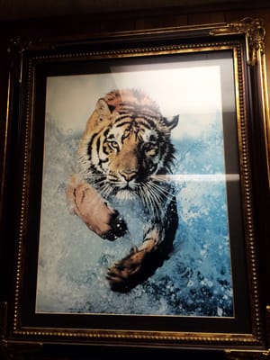Tiger Donuts