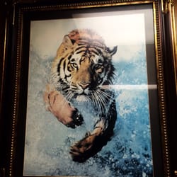 Tiger Donuts - Tiger!