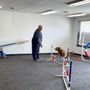 Photo of Maryland Canine Academy