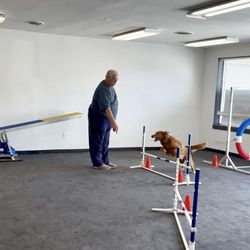 Maryland Canine Academy