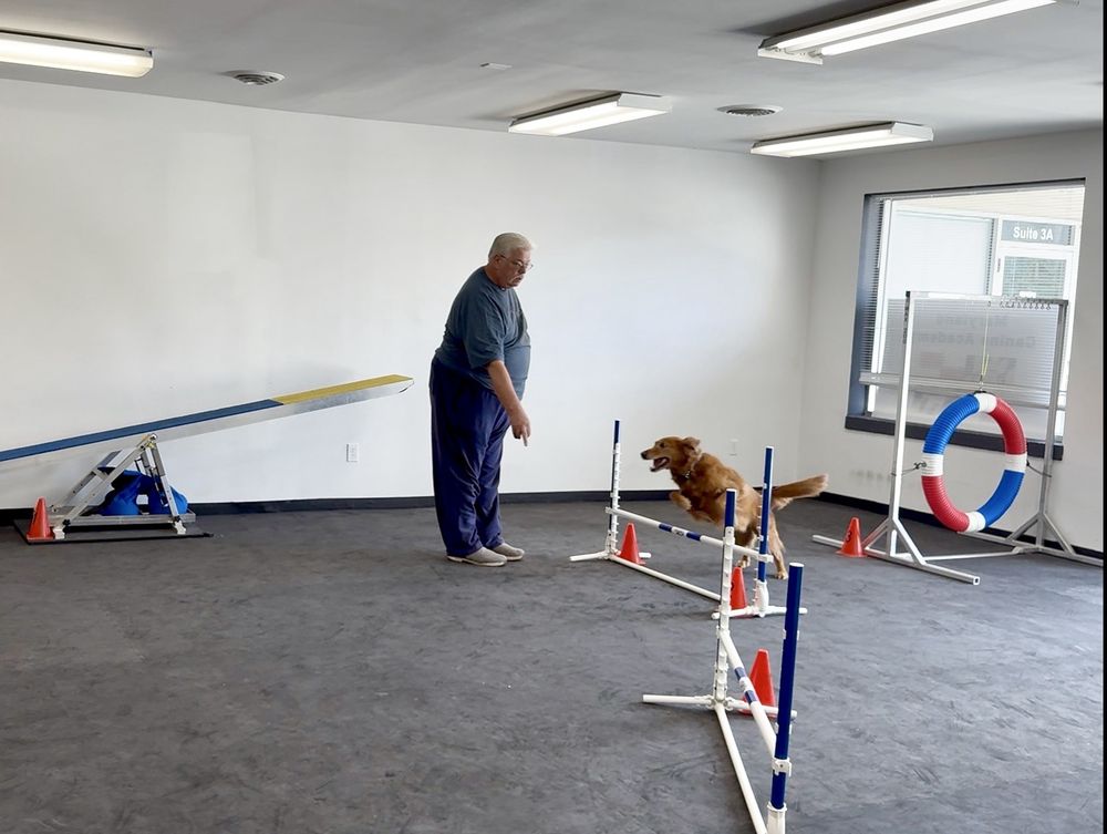 Maryland Canine Academy - pet boarding facility in Finksburg, MD