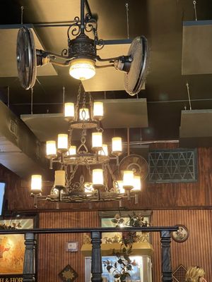 The Hare and Hound by null