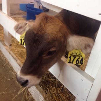 New York State Fair - Festivals Near Me - Syracuse, New York