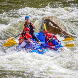 Timberline Tours
