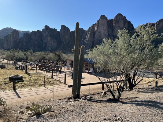 Saguaro Lake Guest Ranch by null