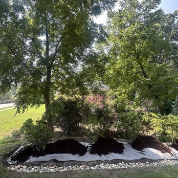 Billy's Tree Services - Landscaping Near Me - Greenville, North Carolina