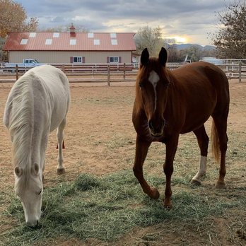 Applewood Equine - Horse Boarding Near Me - Corrales, New Mexico