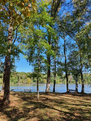 Landsford Canal State Park by null