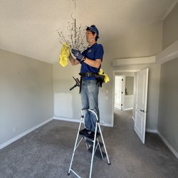 Wipe Clean Window Cleaning - Andrew even took care of my Chandelier cleaning.