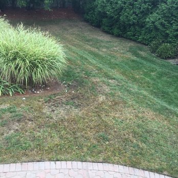 TruGreen Lawn Care - Lawn Services Near Me - Wayne, New Jersey TruGreen Lawn Care - Lawn Services Near Me - Wayne, New Jersey