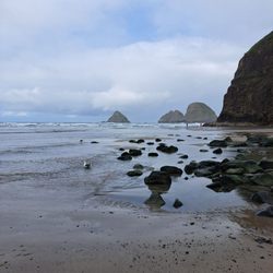 Oceanside Ocean Front Cabins - Misty and magical. Bring winter gear. Windy.