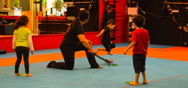 Twin Dragon Kung Fu Academy, Inc. by null